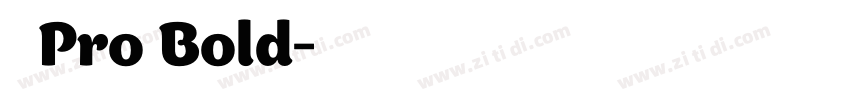 日产Pro Bold字体转换